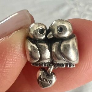 Pandora 9.25 necklace and charm